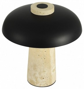 Настольная лампа декоративная ST-Luce Earthy SL1194.424.01 в Новоуральске - novouralsk.mebel24.online | фото 5