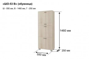 ШО-53 В тумба для обуви в Новоуральске - novouralsk.mebel24.online | фото 8