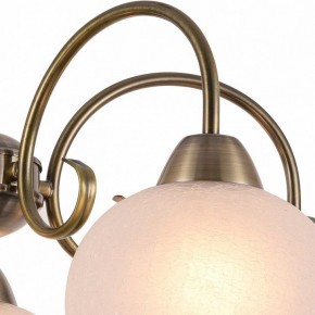 Подвесная люстра Arte Lamp Margo A9317LM-5AB в Новоуральске - novouralsk.mebel24.online | фото 3