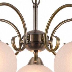Подвесная люстра Arte Lamp Margo A9317LM-5AB в Новоуральске - novouralsk.mebel24.online | фото 4