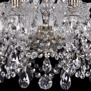 Подвесная люстра Bohemia Ivele Crystal 1411 1411/10/195/Pa в Новоуральске - novouralsk.mebel24.online | фото 3