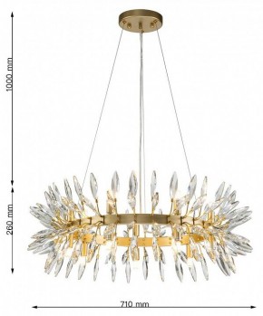 Подвесная люстра Favourite Rays 4058-14P в Новоуральске - novouralsk.mebel24.online | фото 7