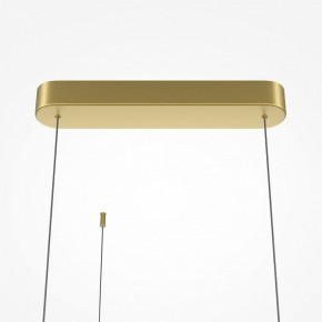 Подвесная люстра Maytoni Radiance MOD278PL-L50G3K в Новоуральске - novouralsk.mebel24.online | фото 7