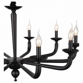 Подвесная люстра ST-Luce SL1114 SL1114.403.10 в Новоуральске - novouralsk.mebel24.online | фото 4