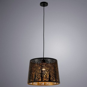 Подвесной светильник Arte Lamp Celesta A2769SP-1BK в Новоуральске - novouralsk.mebel24.online | фото 3