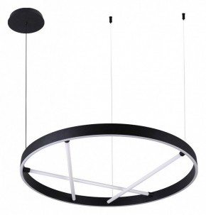 Подвесной светильник Arte Lamp Ricco A1874SP-45BK в Новоуральске - novouralsk.mebel24.online | фото 2