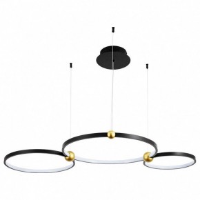 Подвесной светильник Divinare Amadeo 1123/04 SP-75 в Новоуральске - novouralsk.mebel24.online | фото