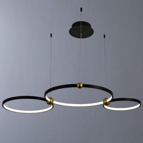 Подвесной светильник Divinare Amadeo 1123/04 SP-75 в Новоуральске - novouralsk.mebel24.online | фото 2
