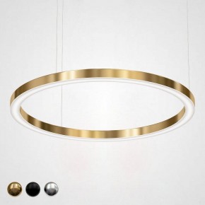 Подвесной светильник Imperiumloft Light Ring Horizontal 40.1454-120 в Новоуральске - novouralsk.mebel24.online | фото