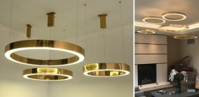 Подвесной светильник Imperiumloft Light Ring Horizontal 40.1454-60 в Новоуральске - novouralsk.mebel24.online | фото 2