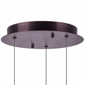 Подвесной светильник Lightstar Caramello 796139 в Новоуральске - novouralsk.mebel24.online | фото 13