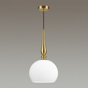 Подвесной светильник Odeon Light Runga 4766/1 в Новоуральске - novouralsk.mebel24.online | фото 4