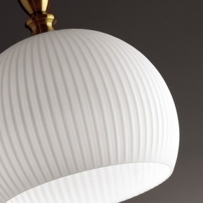 Подвесной светильник Odeon Light Runga 4766/1 в Новоуральске - novouralsk.mebel24.online | фото 8