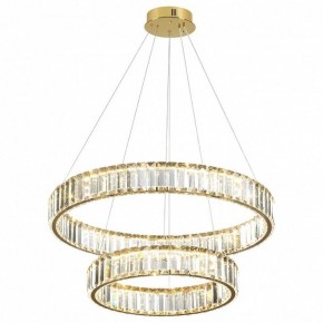 Подвесной светильник Odeon Light Vekia 5015/60L в Новоуральске - novouralsk.mebel24.online | фото 2