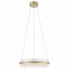 Подвесной светильник ST-Luce Cherio SL383.203.01 в Новоуральске - novouralsk.mebel24.online | фото 3