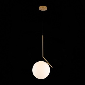Подвесной светильник ST-Luce Codda SL1148.303.01 в Новоуральске - novouralsk.mebel24.online | фото 5