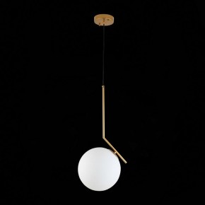 Подвесной светильник ST-Luce Codda SL1148.303.01 в Новоуральске - novouralsk.mebel24.online | фото 6