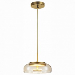 Подвесной светильник ST-Luce Lacio SL6002.203.01 в Новоуральске - novouralsk.mebel24.online | фото