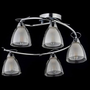 Потолочная люстра Arti Lampadari Paola, Tavenna Nickel Paola E 1.1.5 N в Новоуральске - novouralsk.mebel24.online | фото 2