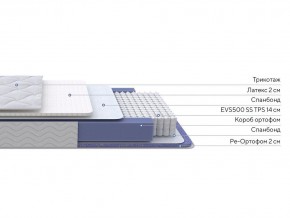 PROxSON Матрас Active Duo S/F (Ткань Трикотаж Эко) 180x195 в Новоуральске - novouralsk.mebel24.online | фото 2
