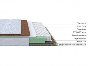 PROxSON Матрас Green Duo M/F (Tricotage Dream) 120x190 в Новоуральске - novouralsk.mebel24.online | фото 2