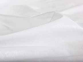 PROxSON Защитный чехол Aqua Save M (Ткань влагостойкая Terry Cloth) 90x195 в Новоуральске - novouralsk.mebel24.online | фото 6