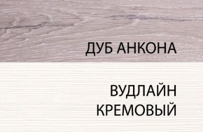 Шкаф 1DZ, OLIVIA, цвет вудлайн крем/дуб анкона в Новоуральске - novouralsk.mebel24.online | фото 3