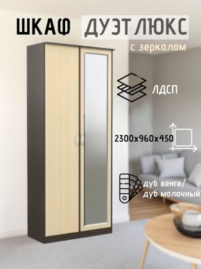 Шкаф 2-х створчатый Дуэт Люкс с зеркалом в Новоуральске - novouralsk.mebel24.online | фото