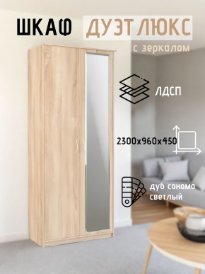 Шкаф 2-х створчатый Дуэт Люкс с зеркалом в Новоуральске - novouralsk.mebel24.online | фото 7