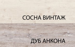 Шкаф 2DG2S, MONAKO, цвет Сосна винтаж/дуб анкона в Новоуральске - novouralsk.mebel24.online | фото