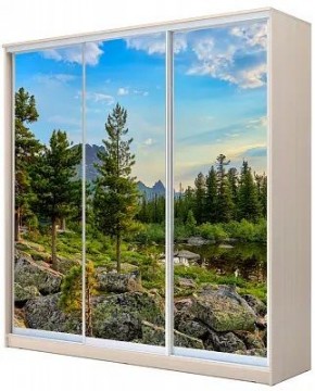 Шкаф-купе ХИТ 22-20-777 ПРИРОДА в Новоуральске - novouralsk.mebel24.online | фото