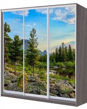 Шкаф-купе ХИТ 22-4-18/2-777 ПРИРОДА в Новоуральске - novouralsk.mebel24.online | фото