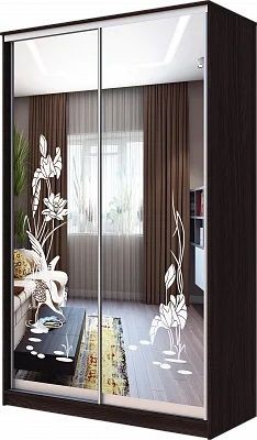 Шкаф-купе ХИТ 23-15-66 ЦАПЛИ в Новоуральске - novouralsk.mebel24.online | фото