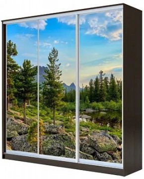 Шкаф-купе ХИТ 23-20/2-777 ПРИРОДА в Новоуральске - novouralsk.mebel24.online | фото