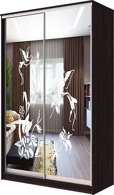 Шкаф-купе ХИТ 23-4-12/2-66 КОЛИБРИ в Новоуральске - novouralsk.mebel24.online | фото