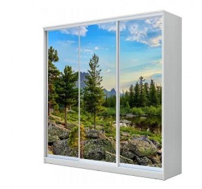 Шкаф-купе ХИТ 23-4-20-777 (420) в Новоуральске - novouralsk.mebel24.online | фото
