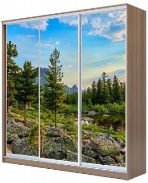 Шкаф-купе ХИТ 24-20/2-777 ПРИРОДА в Новоуральске - novouralsk.mebel24.online | фото