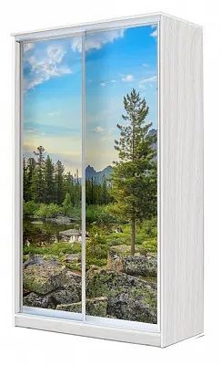 Шкаф-купе ХИТ 24-4-15-77 ПРИРОДА в Новоуральске - novouralsk.mebel24.online | фото