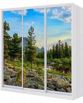 Шкаф-купе ХИТ 24-4-18-777 ПРИРОДА в Новоуральске - novouralsk.mebel24.online | фото
