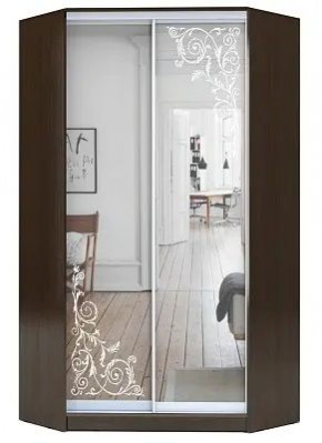 Шкаф-купе ХИТ-У-R-22-64-66 ОРНАМЕНТ в Новоуральске - novouralsk.mebel24.online | фото