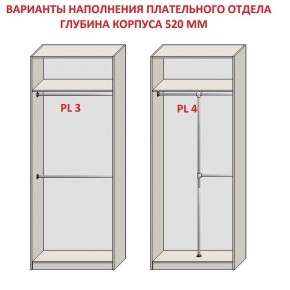 Шкаф распашной серия «ЗЕВС» (PL3/С1/PL2) в Новоуральске - novouralsk.mebel24.online | фото 10