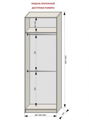 Шкаф распашной серия «ЗЕВС» (PL3/С1/PL2) в Новоуральске - novouralsk.mebel24.online | фото 12