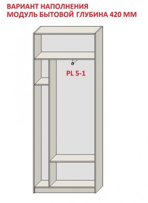 Шкаф распашной серия «ЗЕВС» (PL3/С1/PL2) в Новоуральске - novouralsk.mebel24.online | фото 4