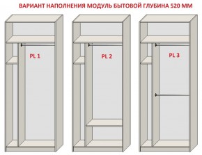 Шкаф распашной серия «ЗЕВС» (PL3/С1/PL2) в Новоуральске - novouralsk.mebel24.online | фото 5