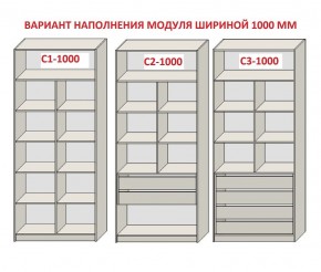 Шкаф распашной серия «ЗЕВС» (PL3/С1/PL2) в Новоуральске - novouralsk.mebel24.online | фото 7