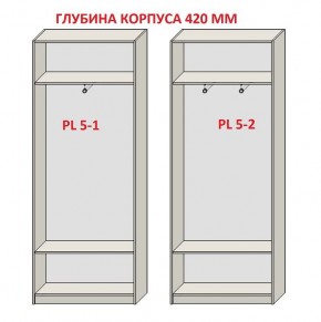 Шкаф распашной серия «ЗЕВС» (PL3/С1/PL2) в Новоуральске - novouralsk.mebel24.online | фото 8