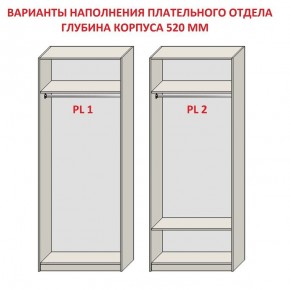 Шкаф распашной серия «ЗЕВС» (PL3/С1/PL2) в Новоуральске - novouralsk.mebel24.online | фото 9