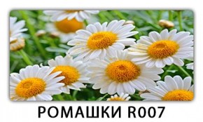 Стол раздвижной Трилогия с фотопечатью Сирень C011 в Новоуральске - novouralsk.mebel24.online | фото 15