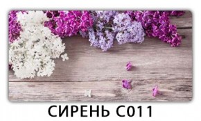 Стол раздвижной Трилогия с фотопечатью Сирень C011 в Новоуральске - novouralsk.mebel24.online | фото 16