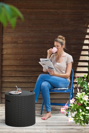 Столик-холодильник Кул-Стул (Cool stool) коричневый в Новоуральске - novouralsk.mebel24.online | фото 2